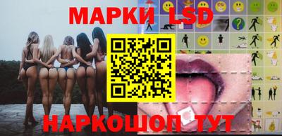 шишки Заволжье