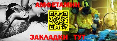 шишки Заволжье