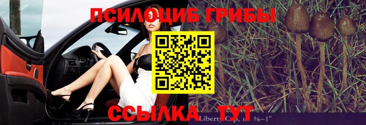 Псилоцибиновые грибы мицелий  Вход с VPN  Лабинск  Галлюциногенные грибы Psilocybine cubensis 
