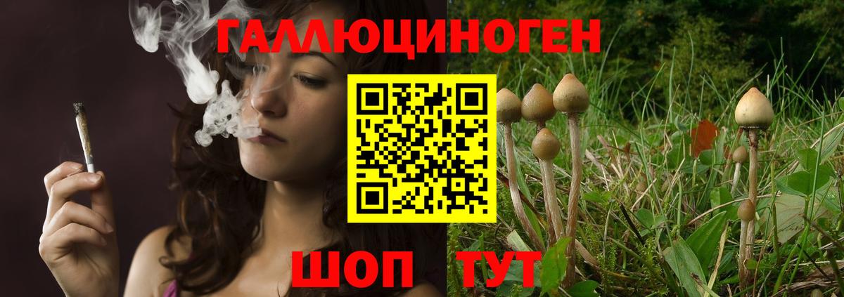 Галлюциногенные грибы Magic Shrooms Лабинск